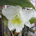 IMG_3739.JPG