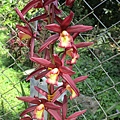 IMG_3941.JPG
