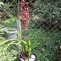 IMG_3940.JPG