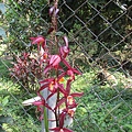 IMG_3874.JPG
