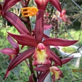 IMG_3875.JPG