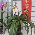 IMG_3979.JPG