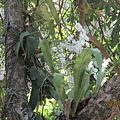 IMG_4369.JPG