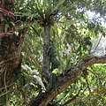 IMG_4367.JPG