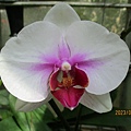 IMG_4375.JPG