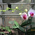 IMG_4374.JPG