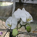 IMG_4376.JPG