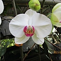 IMG_4383.JPG