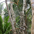 IMG_4474.JPG