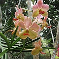 IMG_4473.JPG