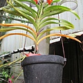 IMG_4491.JPG