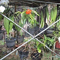 IMG_4489.JPG