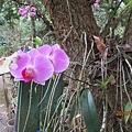 IMG_4640.JPG