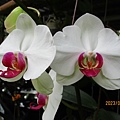 IMG_4638.JPG