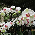 IMG_4639.JPG