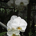 IMG_4637.JPG