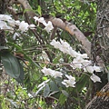 IMG_4642.JPG