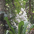 IMG_4643.JPG