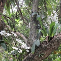 IMG_4644.JPG