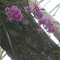 IMG_4645.JPG