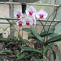 IMG_4646.JPG