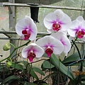 IMG_4647.JPG