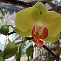 IMG_4655.JPG
