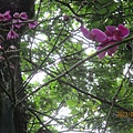 IMG_4660.JPG