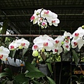 IMG_4662.JPG