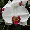 IMG_4779.JPG