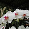 IMG_4780.JPG