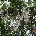 IMG_4914.JPG