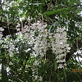 IMG_4913.JPG
