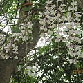 IMG_4922.JPG