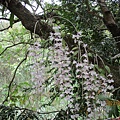 IMG_4912.JPG
