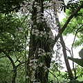 IMG_4915.JPG