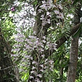 IMG_4916.JPG