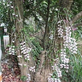 IMG_4920.JPG