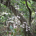 IMG_4917.JPG