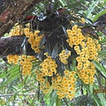 IMG_4949.JPG