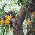 IMG_4951.JPG