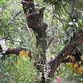 IMG_4948.JPG
