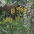 IMG_4942.JPG