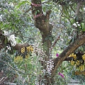 IMG_4945.JPG