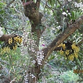 IMG_4940.JPG