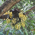 IMG_4943.JPG