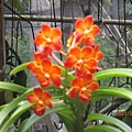 IMG_4972.JPG