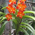 IMG_4970.JPG
