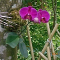 DSCN7441.JPG