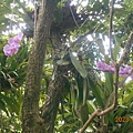 DSCN7448.JPG